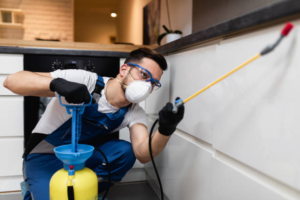 Best Best Pest Control Companies  in Brockway, PA