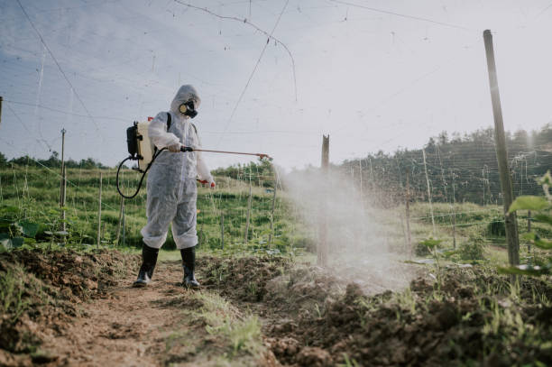 Pest Prevention Services in Brockway, PA
