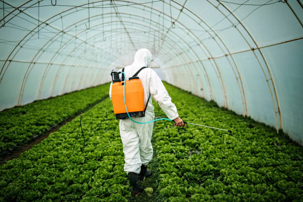 Best Commercial Pest Control Services  in Brockway, PA
