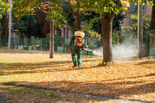 Best Pest Prevention Services  in Brockway, PA