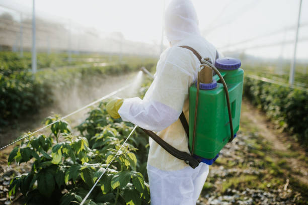 Best Cockroach Control Services  in Brockway, PA